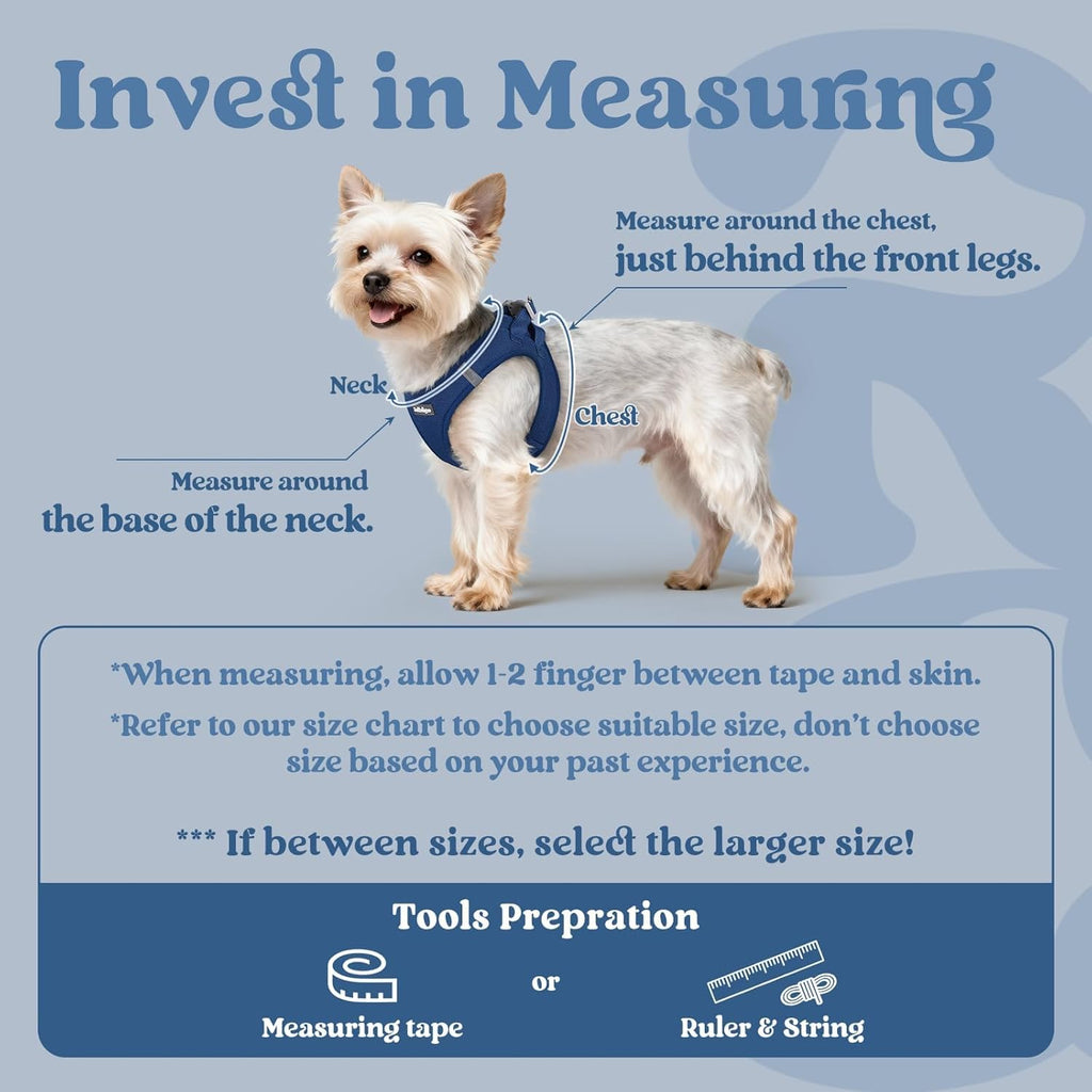 Side profile of a small breed puppy wearing the breathable navy blue reflective harness