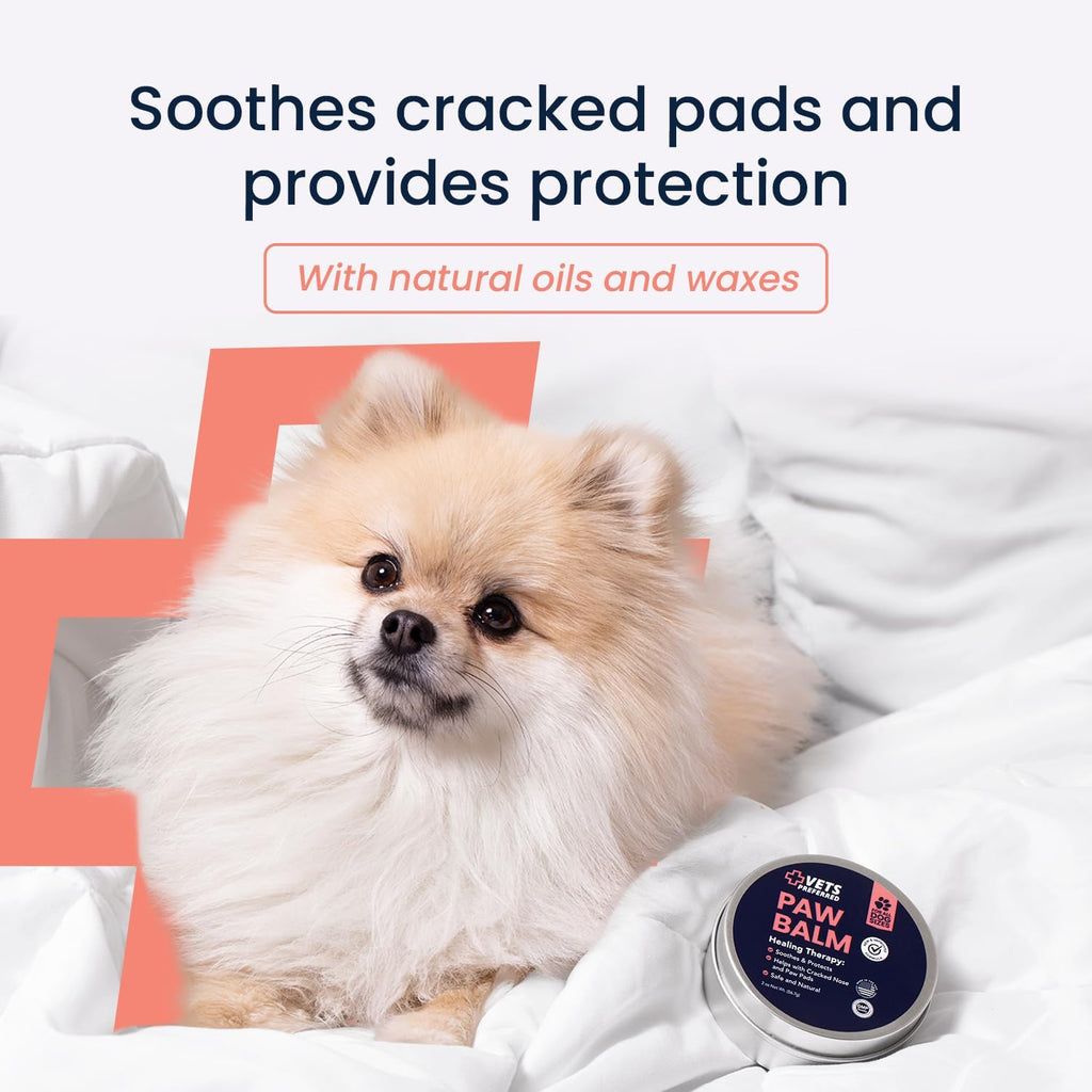 Application of Vets Preferred balm on dog paw pad