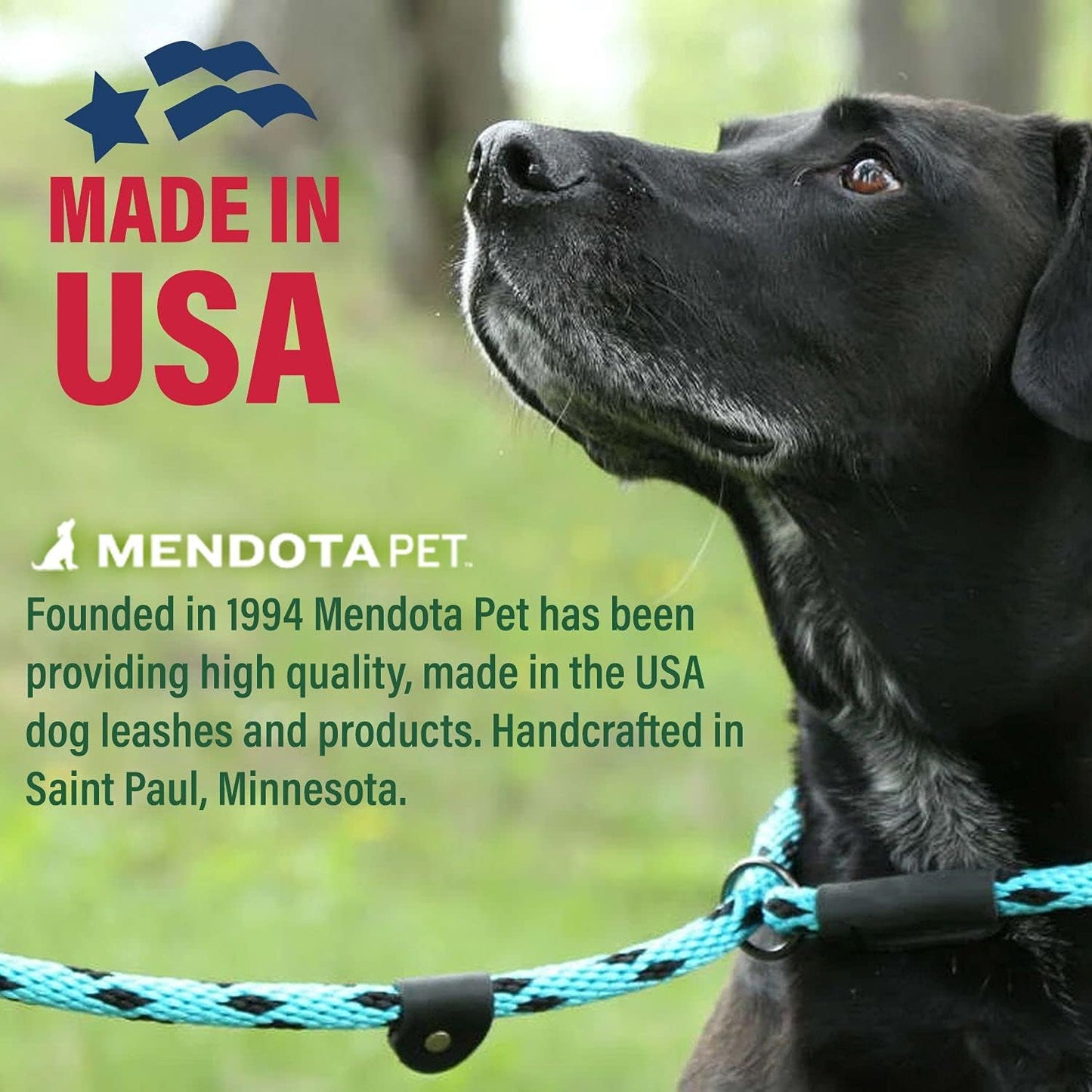 Black Mendota Pet 6 feet dog training leash coiled tightly to show flexibility