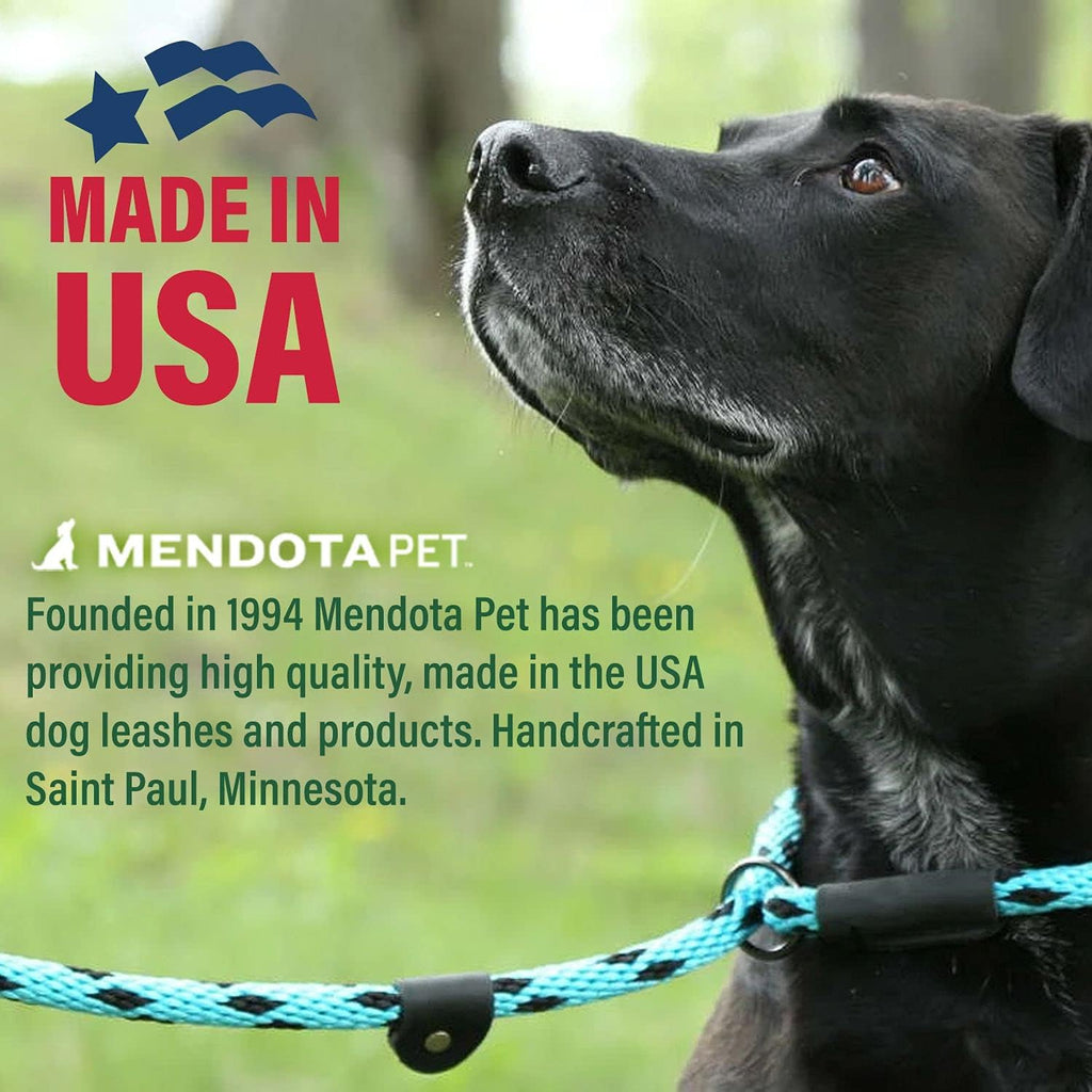 Mendota Pet dog lead coiled to display texture and flexibility.