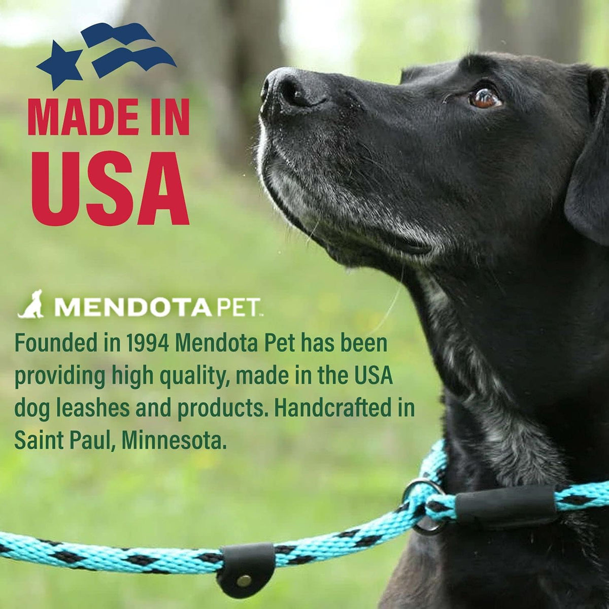 Mendota Pet dog lead coiled to display texture and flexibility.