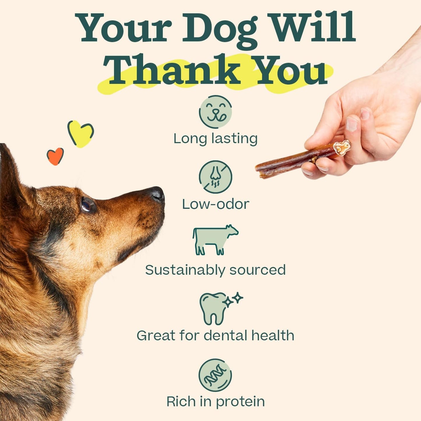 WOOF odor free dog treats premium grade beef pizzle sticks close up.