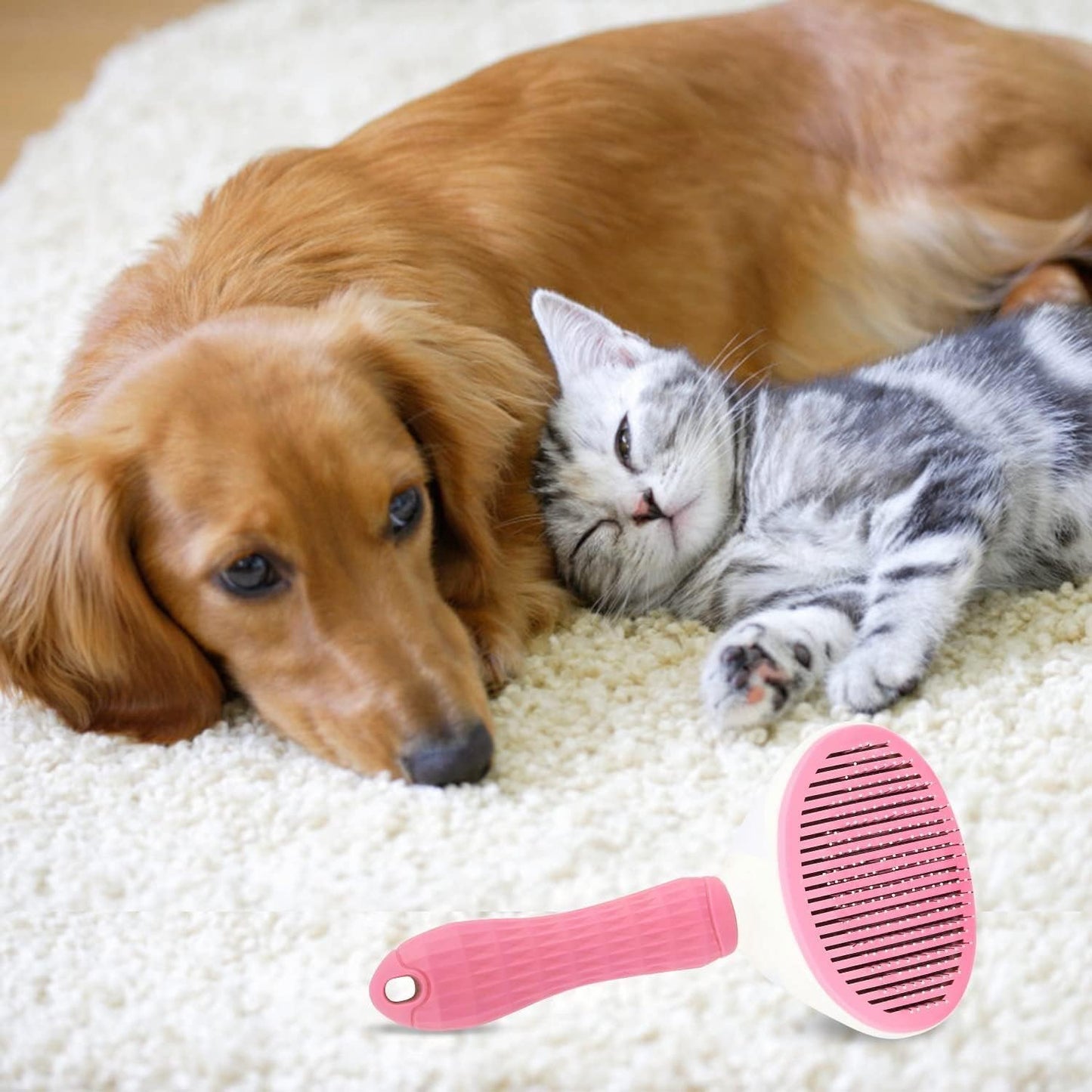 One click hair release mechanism being used on a premium pet shedding brush for bunnies