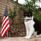 BoomBone nylon patriotic pet collar full length display