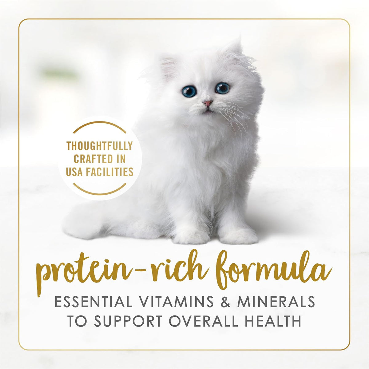 Purina kitten food collection showing four flavor options