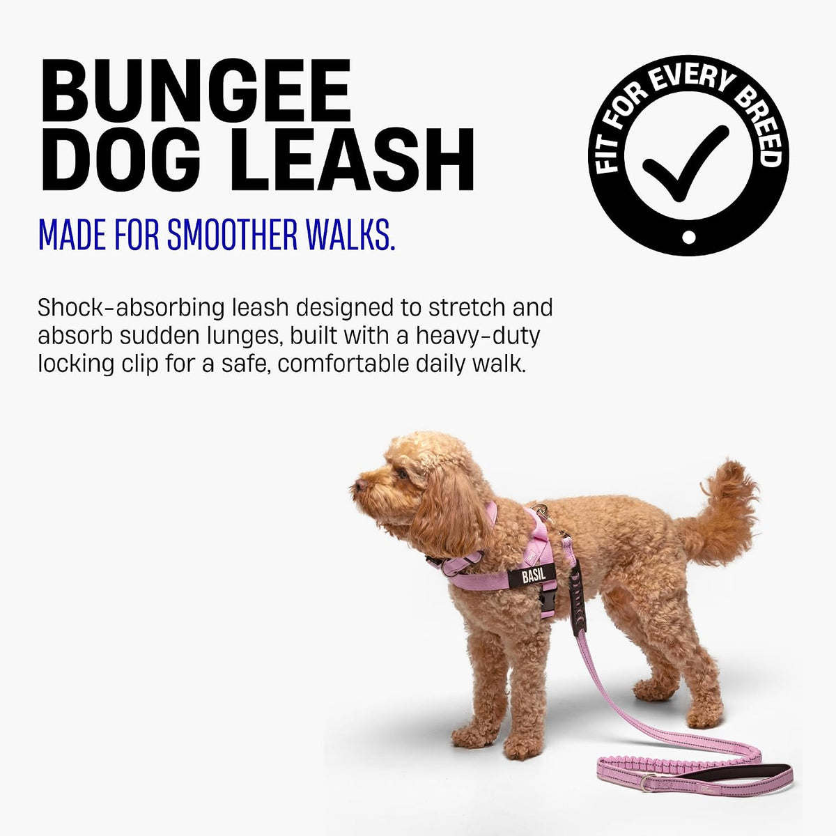 Dog Friendly Co. premium training leash highlighting the soft neoprene padded handle for comfortable walking grip.