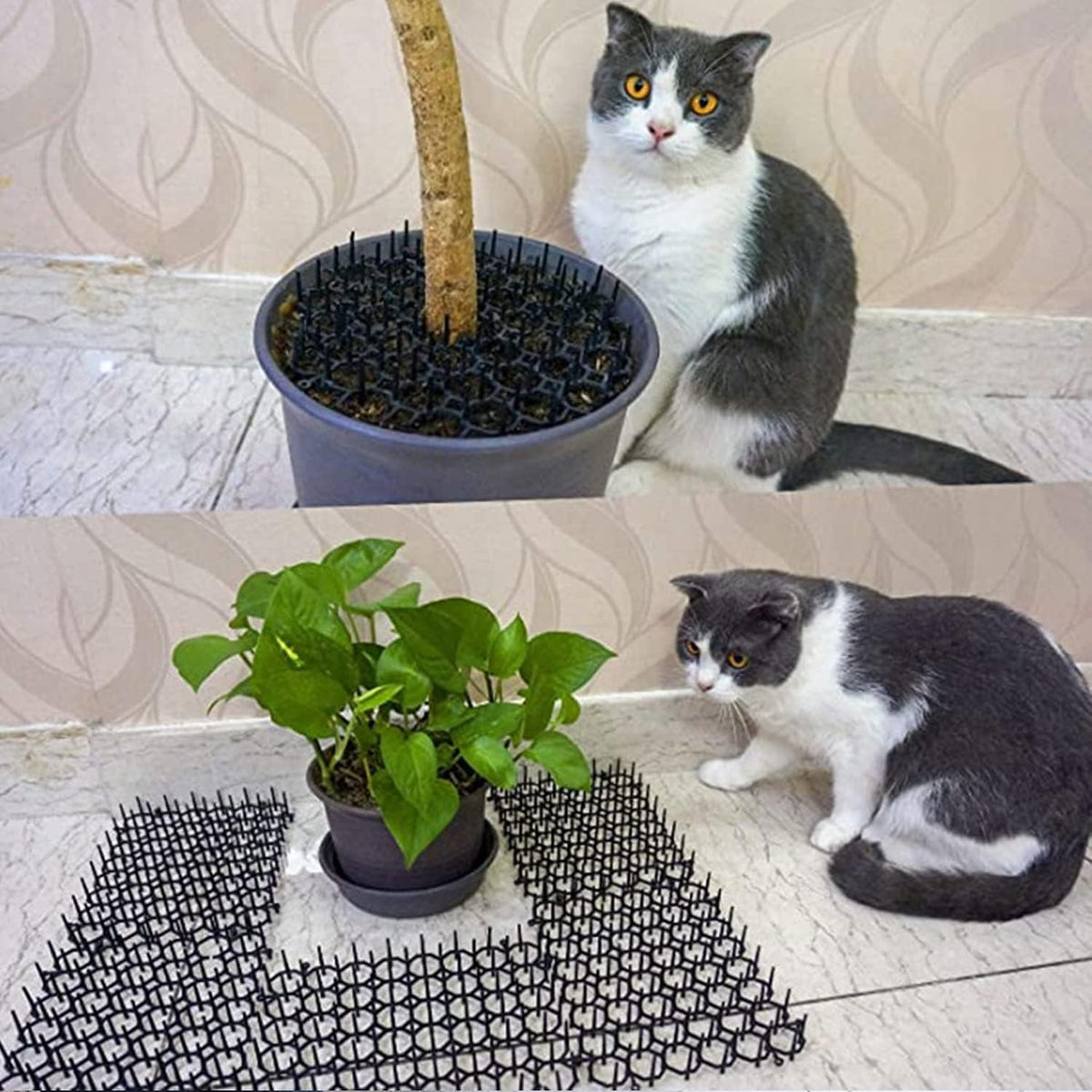 Full set of 12 cat repellent mats and garden pegs
