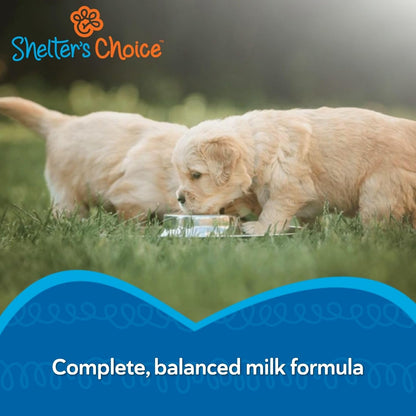 Complete and balanced formula for kittens and adult cats milk powder back label