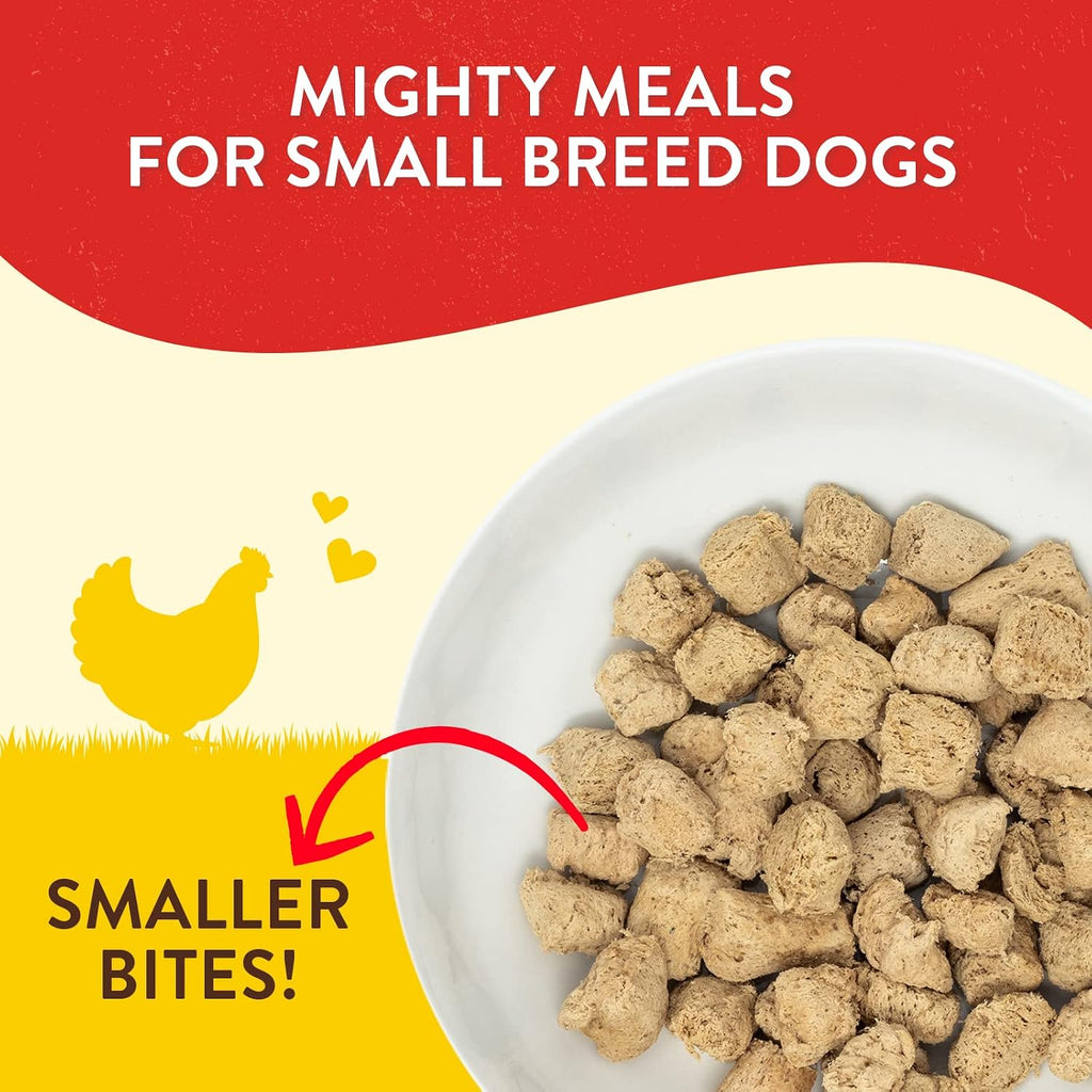 Close up of Stella and Chewy's raw freeze-dried dog food morsels