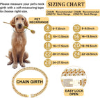 Flatfoosie authentic imported dog jewelry chain lifestyle display