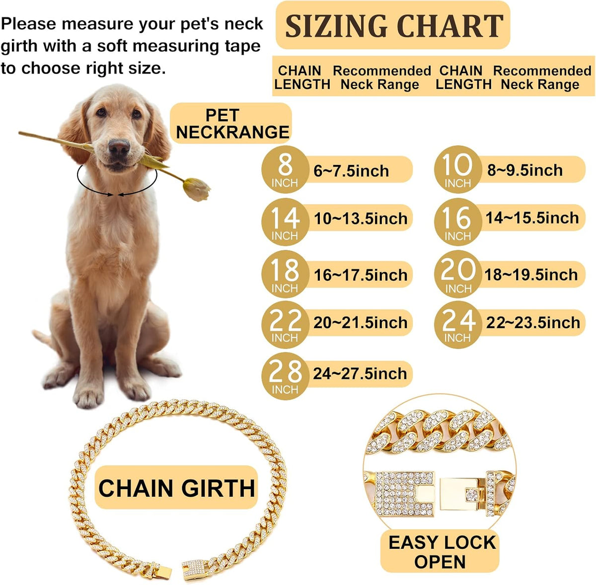 Flatfoosie authentic imported dog jewelry chain lifestyle display