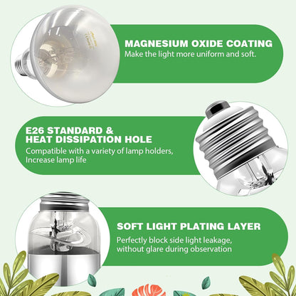 Repti Zoo premium reptile habitat accessories showcasing two full spectrum bulbs