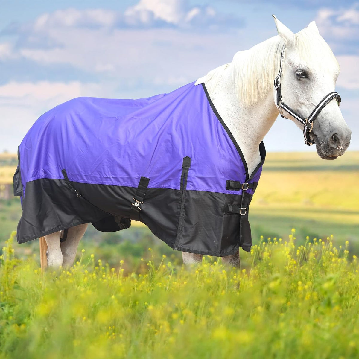 Gallopoff zero gram fill horse turnout sheet close up