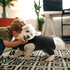 Instructions for modifying Nanaki dog suit for male dog urination