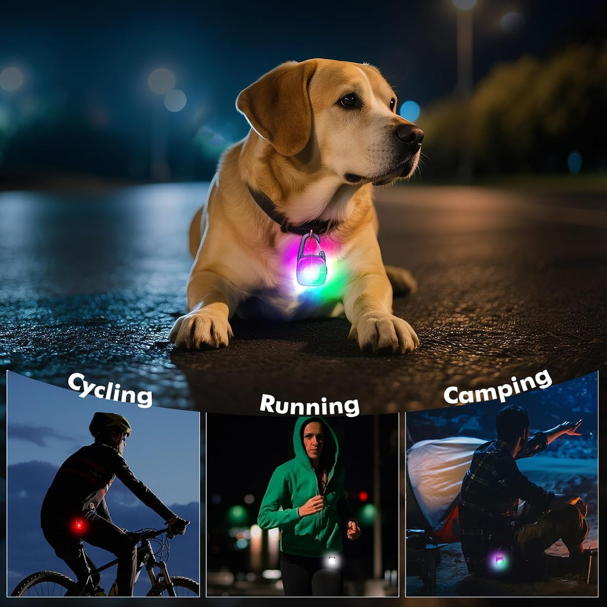 POEEY LED light attached securely to a dog harness for nighttime outdoor safety.