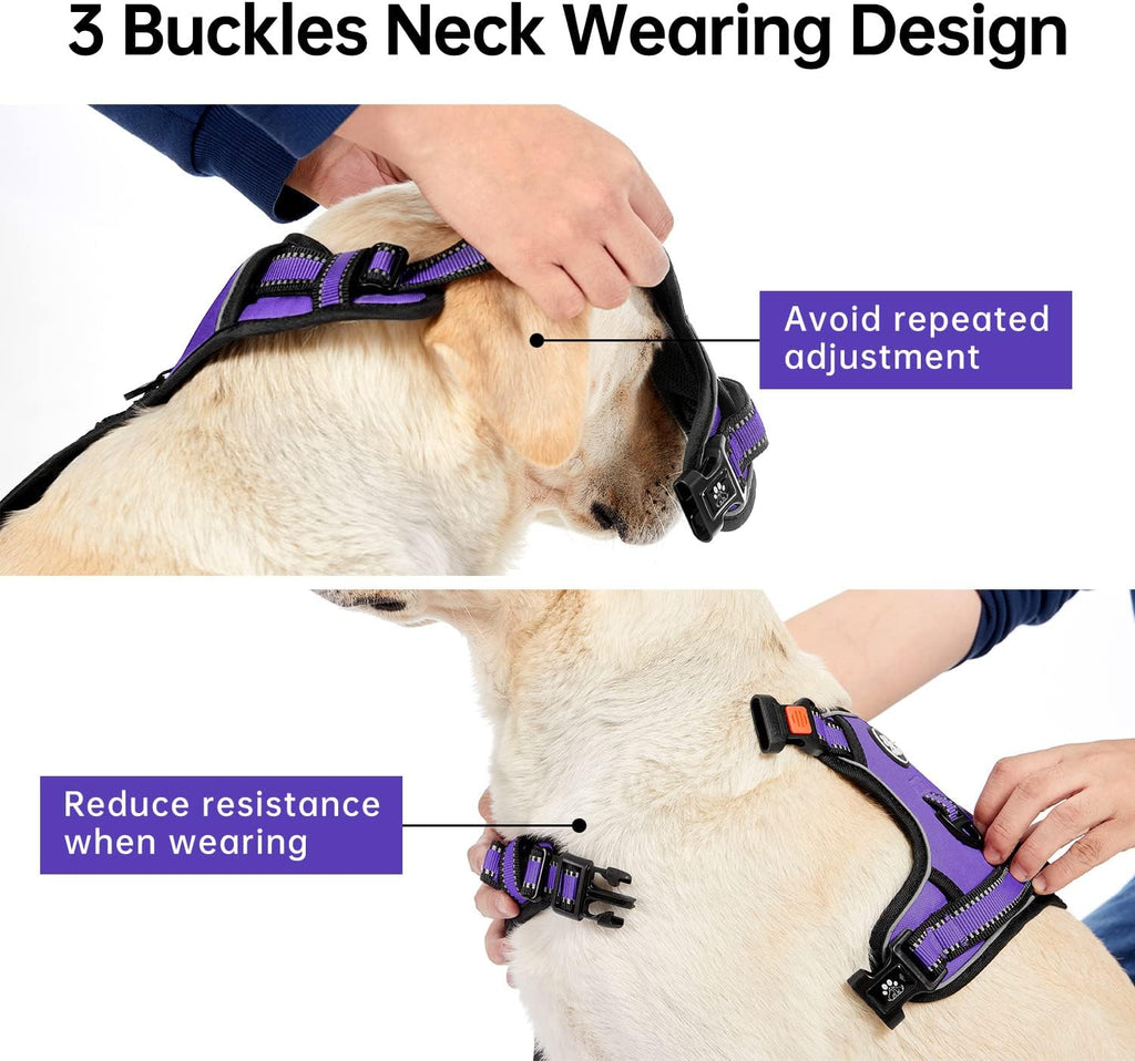 Close up of metal alloy leash attachment clips