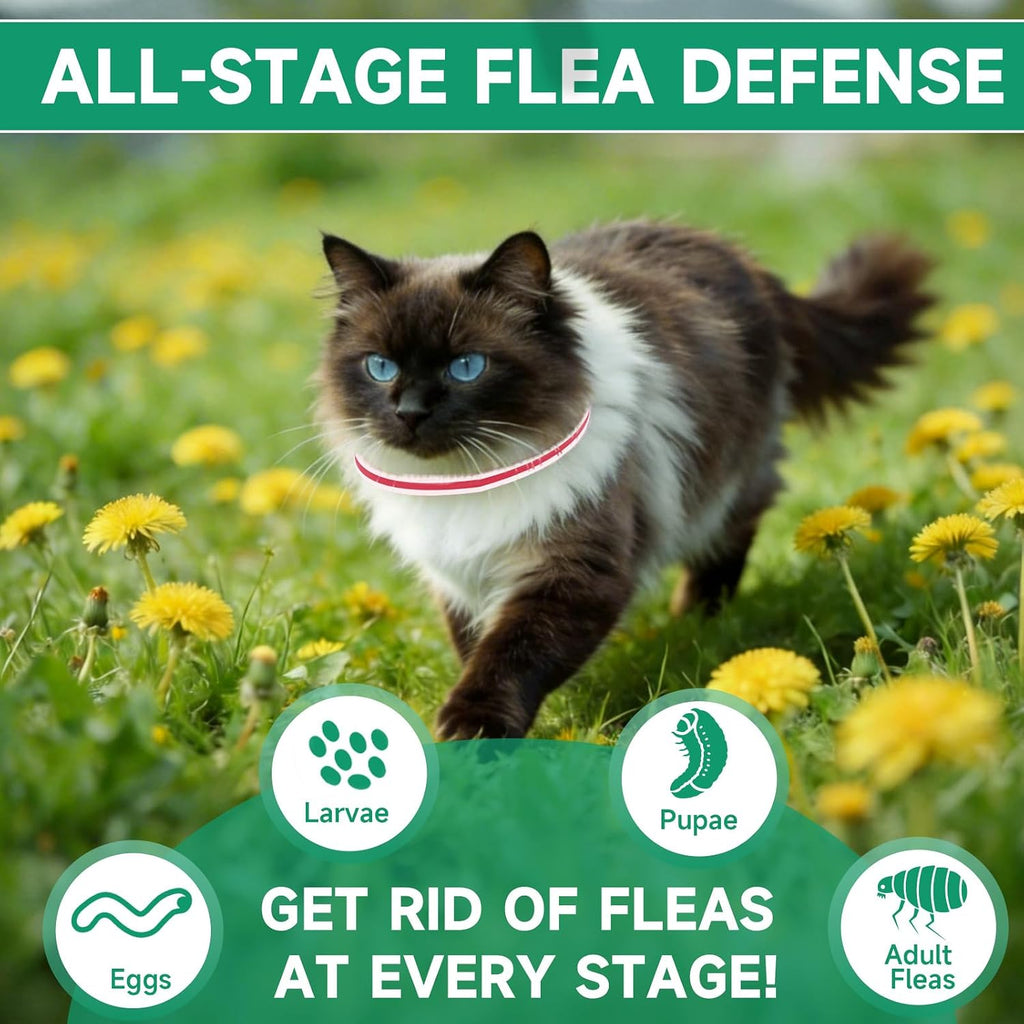 Authentic USA imported flea treatment for cats