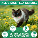 Authentic USA imported flea treatment for cats