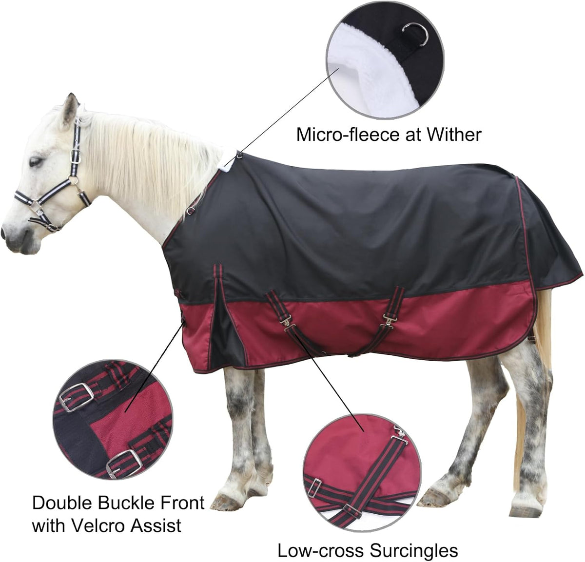 Lightweight turnout rain sheet in blackwine color on a horse outdoors