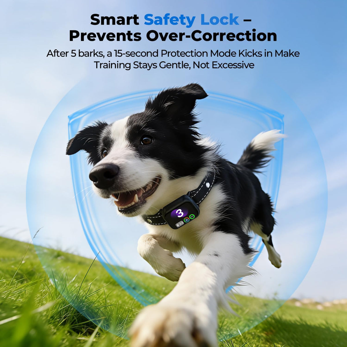 RPZ collar showing intensity level on screen