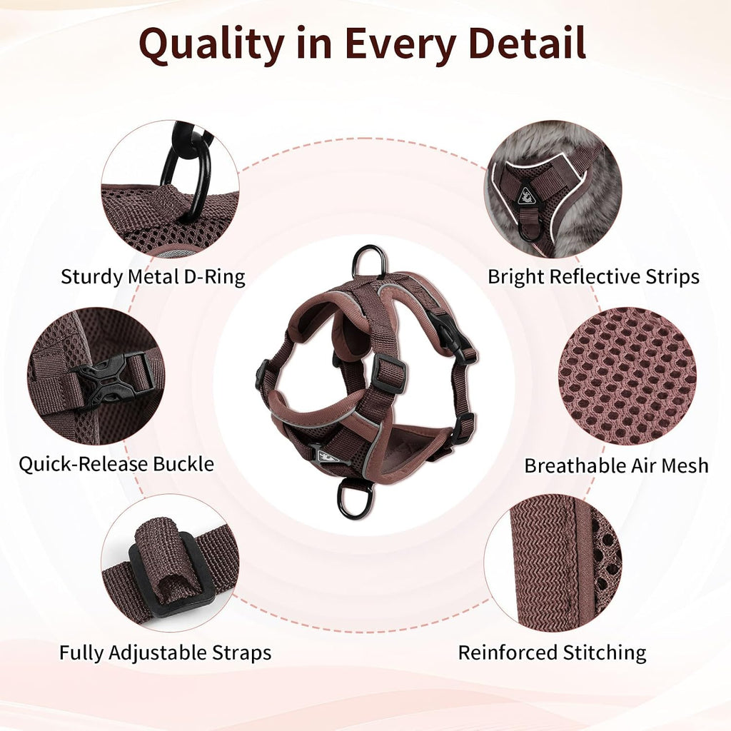 Large Cat Harness & Leash Set, Escape-Proof Soft Vest for Outdoor Walking - Image 3