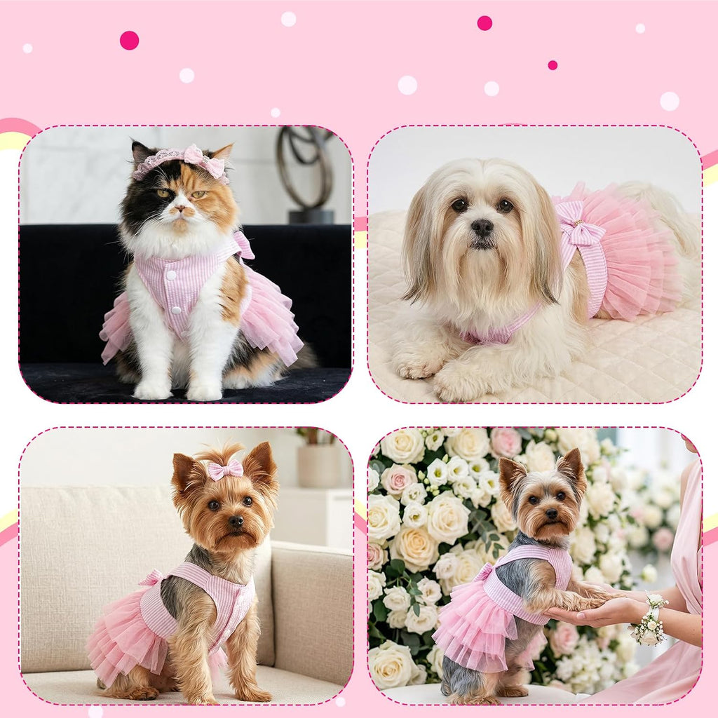 Choyaxo imported summer dog clothes on a small puppy close up details