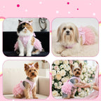 Choyaxo imported summer dog clothes on a small puppy close up details