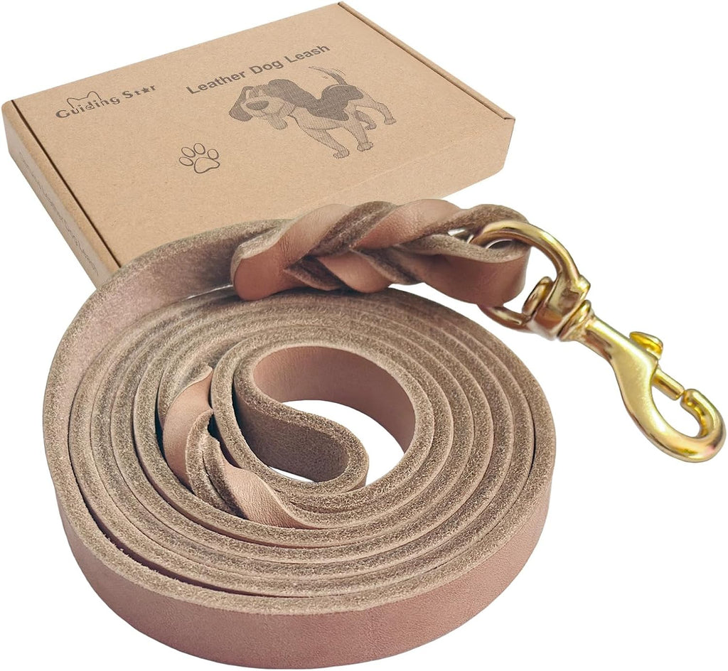Guiding Star professional dog training leash hardware detail view