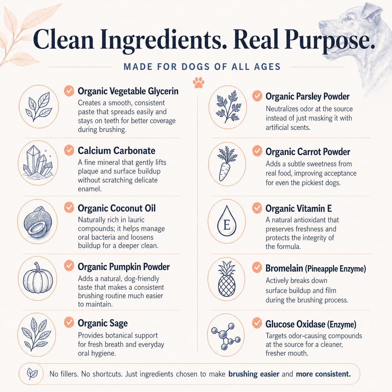 Imported USA food grade dog toothpaste jar showing active enzyme ingredients
