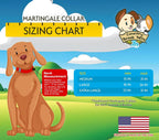 Heavy-duty nylon martingale training collar with no buckle mechanism
