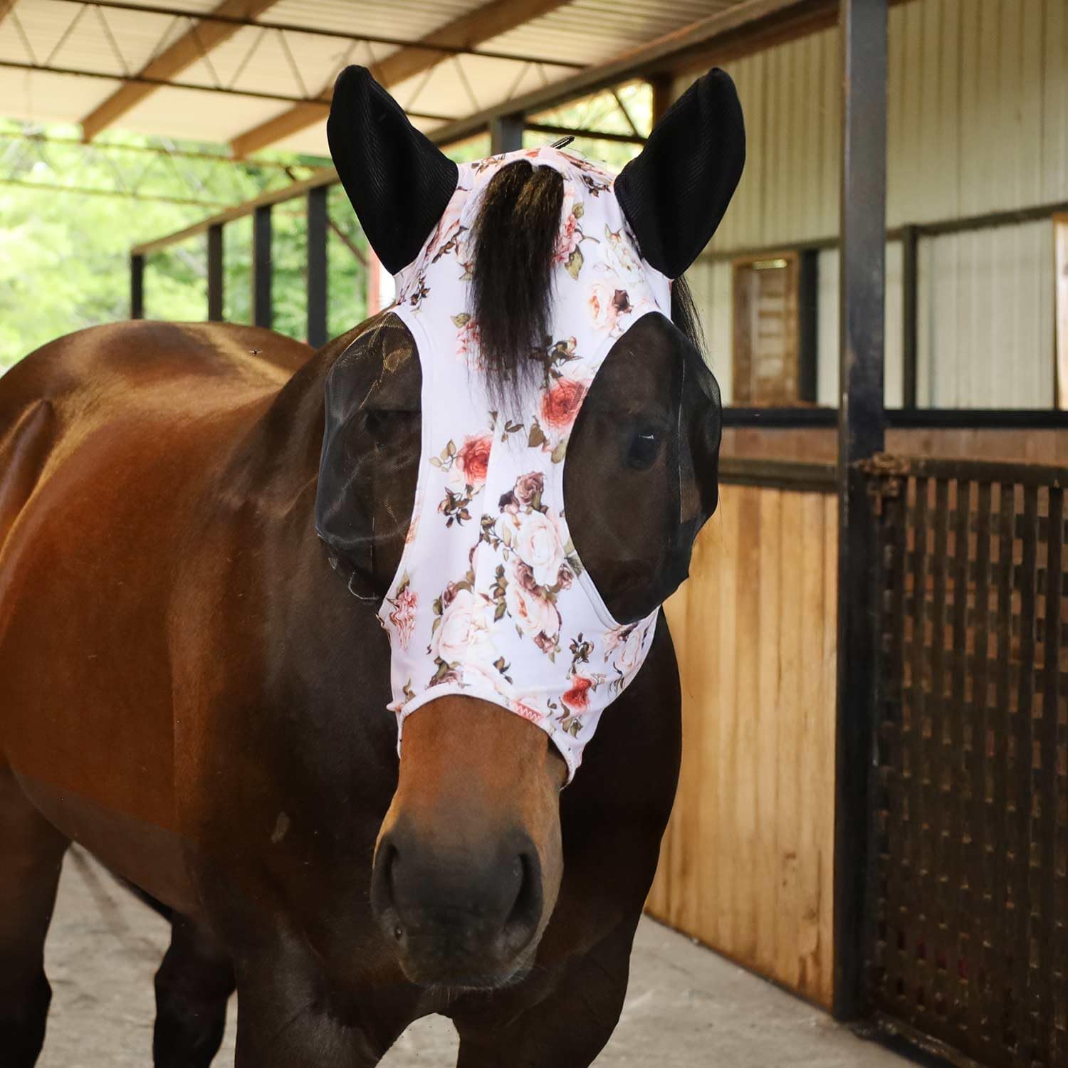 Comparison view of Jeffers fly mask design features