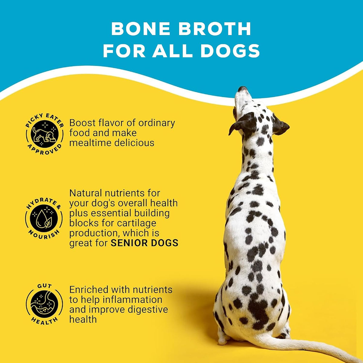 Nutrient rich dog hydration broth powder solution for senior pets
