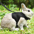 Pettom bunny rabbit harness front view showing black mesh vest design