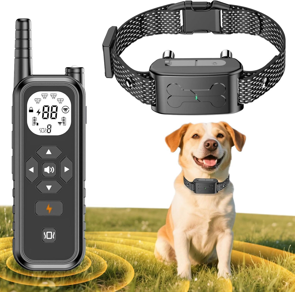 RunFence dual dog training system remote showing the switch mechanism between pet one and pet two.