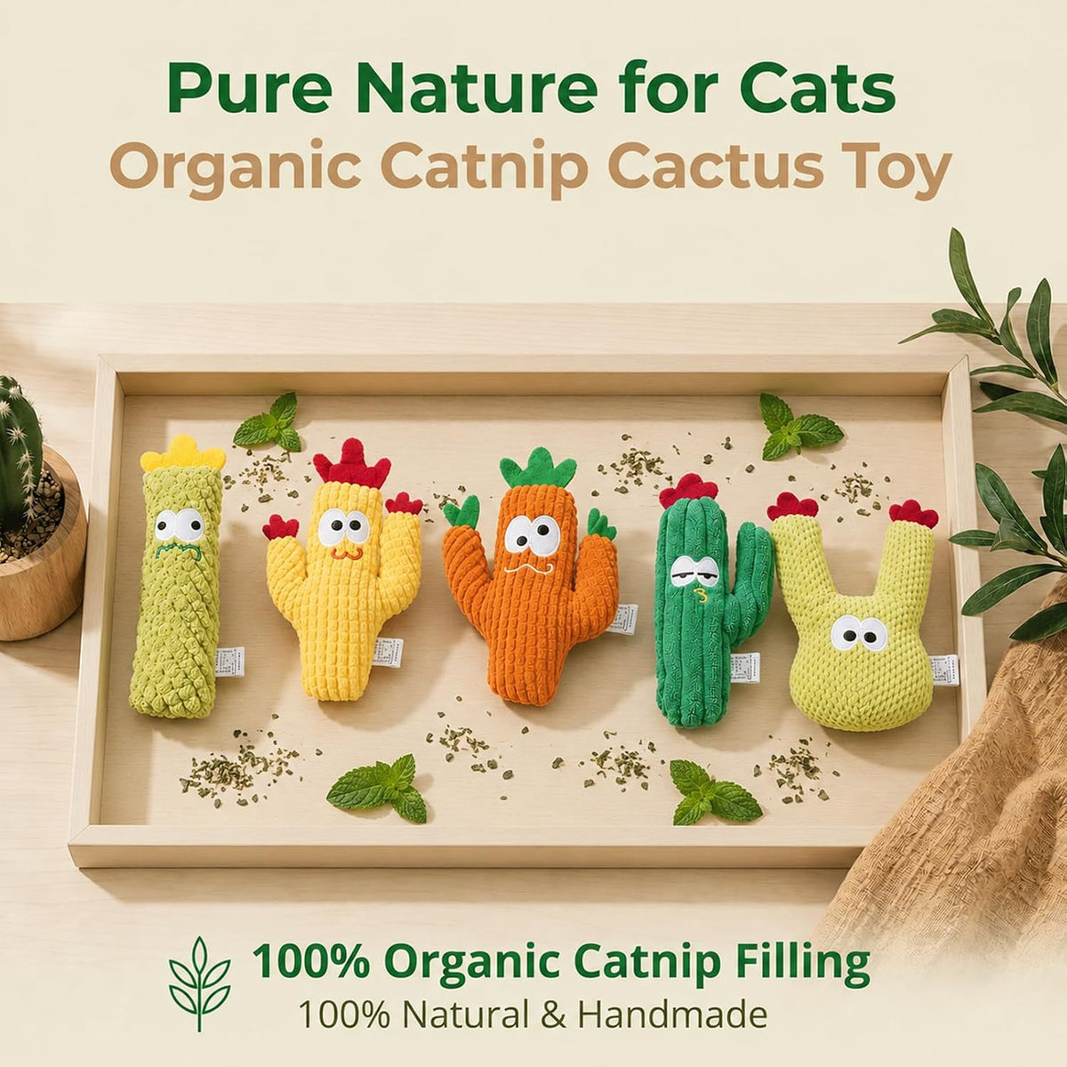 Filler free cactus kitten teething kicker toys for dental cleaning close up