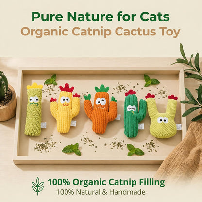 Filler free cactus kitten teething kicker toys for dental cleaning close up