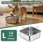 ZPUFAW one point two gallon capacity dog bowl filled with fresh water for large breeds.