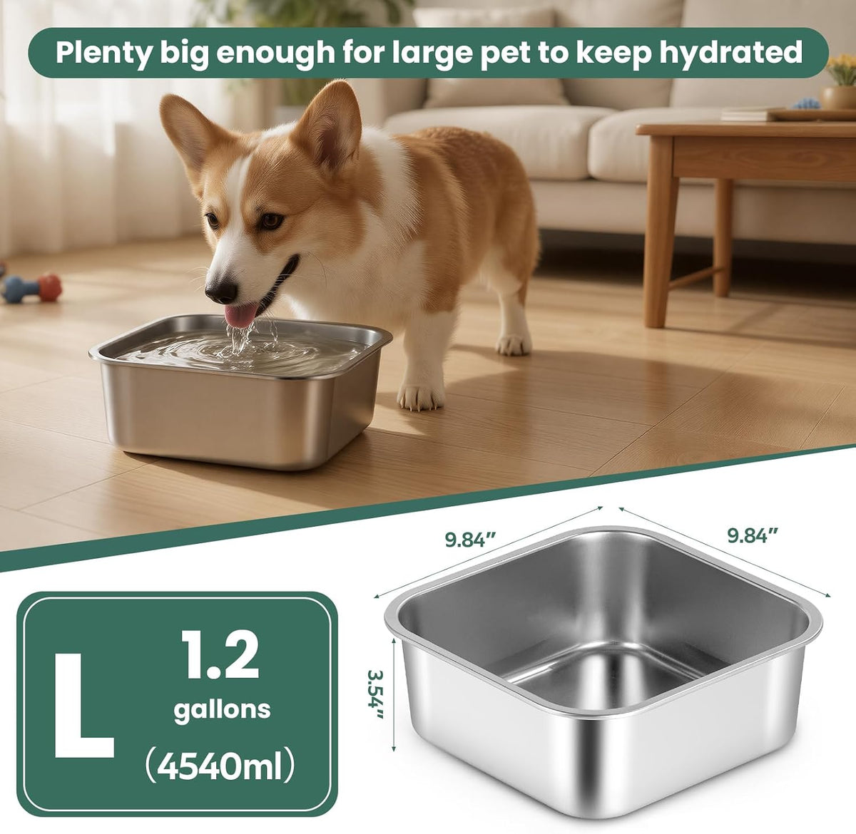 ZPUFAW one point two gallon capacity dog bowl filled with fresh water for large breeds.