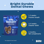 Small breed dog enjoying a Barkbox Bright durable dental chew stick