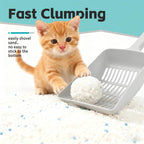 Moonforest cat litter in automatic litter box setup