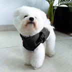 Fiveda dog winter clothes india size guide illustration with measurement points