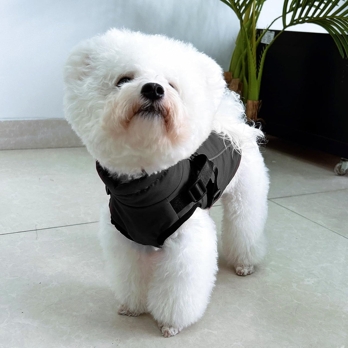 Fiveda dog winter clothes india size guide illustration with measurement points
