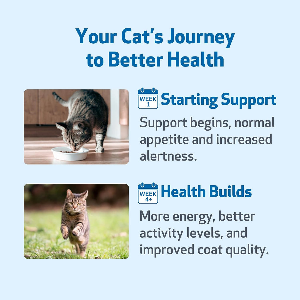 Close up of Pet Wellbeing 2 fluid ounce cat supplement