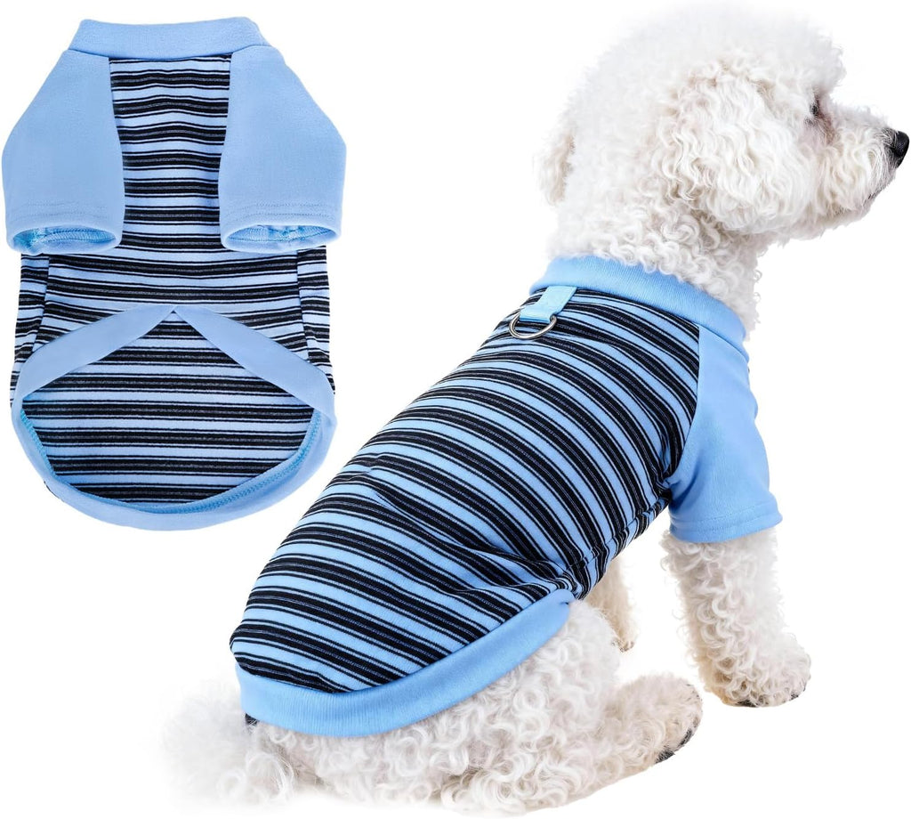 Pistha striped dog tshirt blue front view on puppy