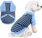 Pistha striped dog tshirt blue front view on puppy