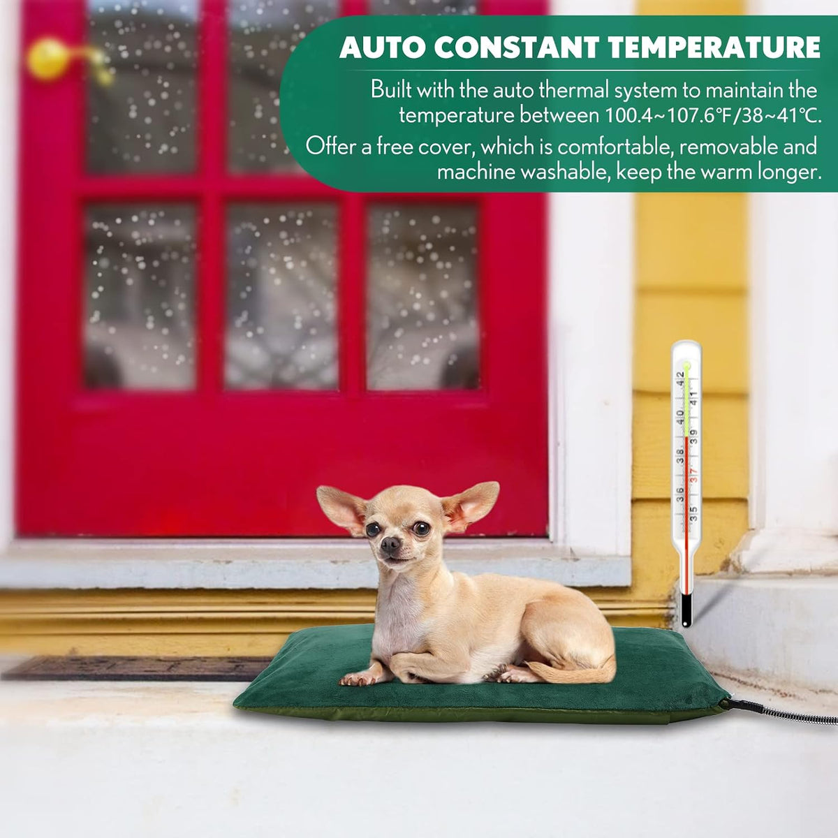 Automatic temperature control pet heating mat with a cat resting comfortably on top.