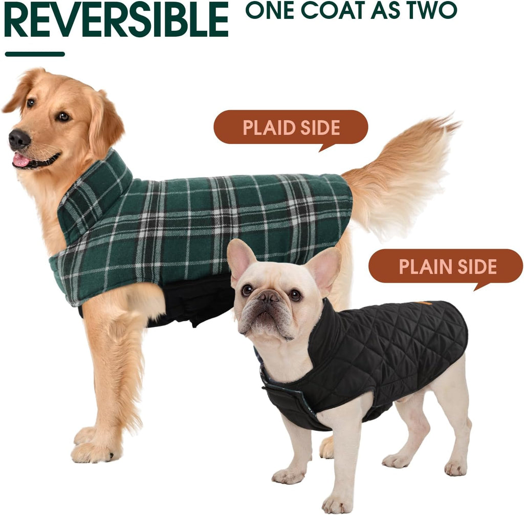 Side profile of medium dog wearing Kuoser green plaid jacket