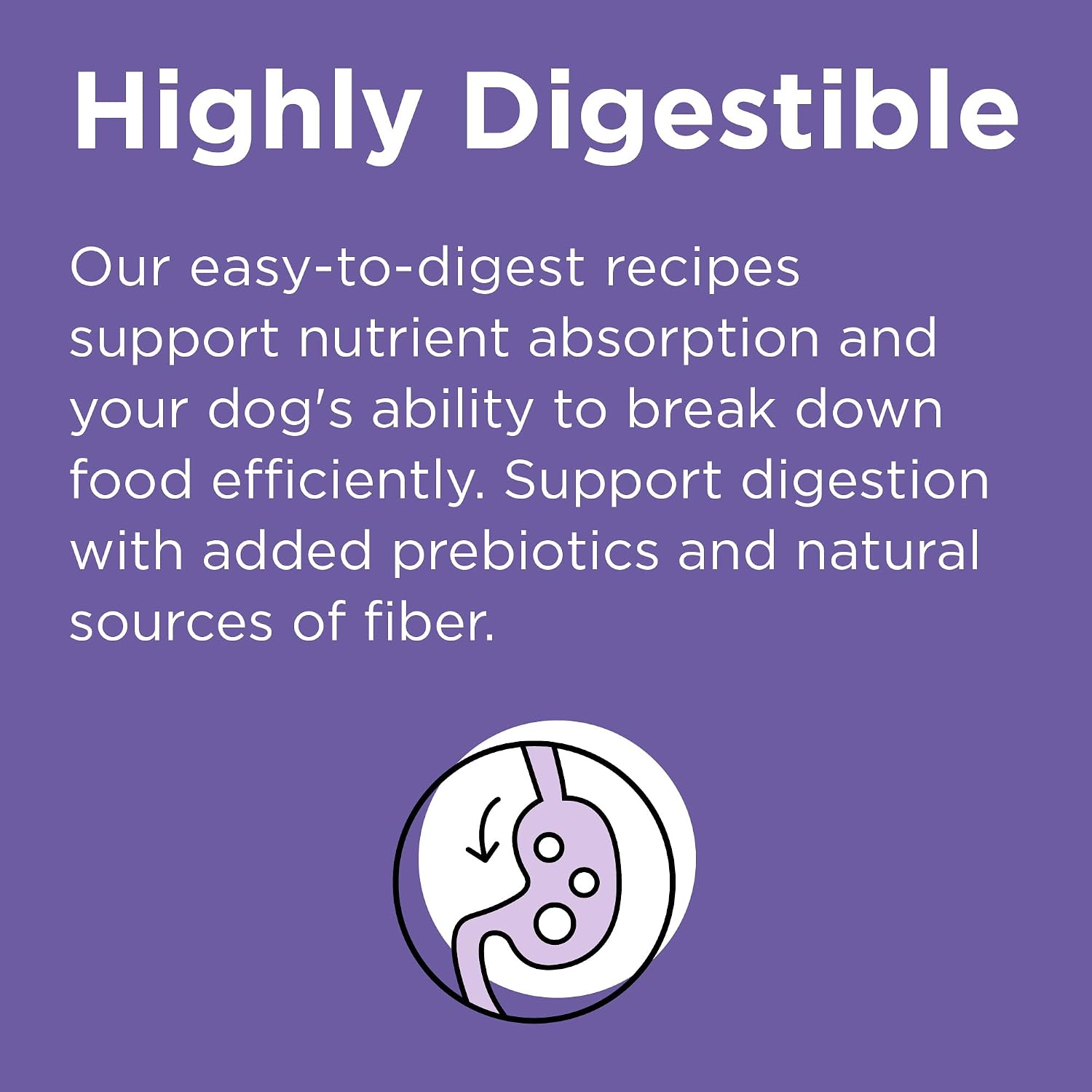BIXBI Rawbble limited ingredient lamb recipe dog food for all life stages