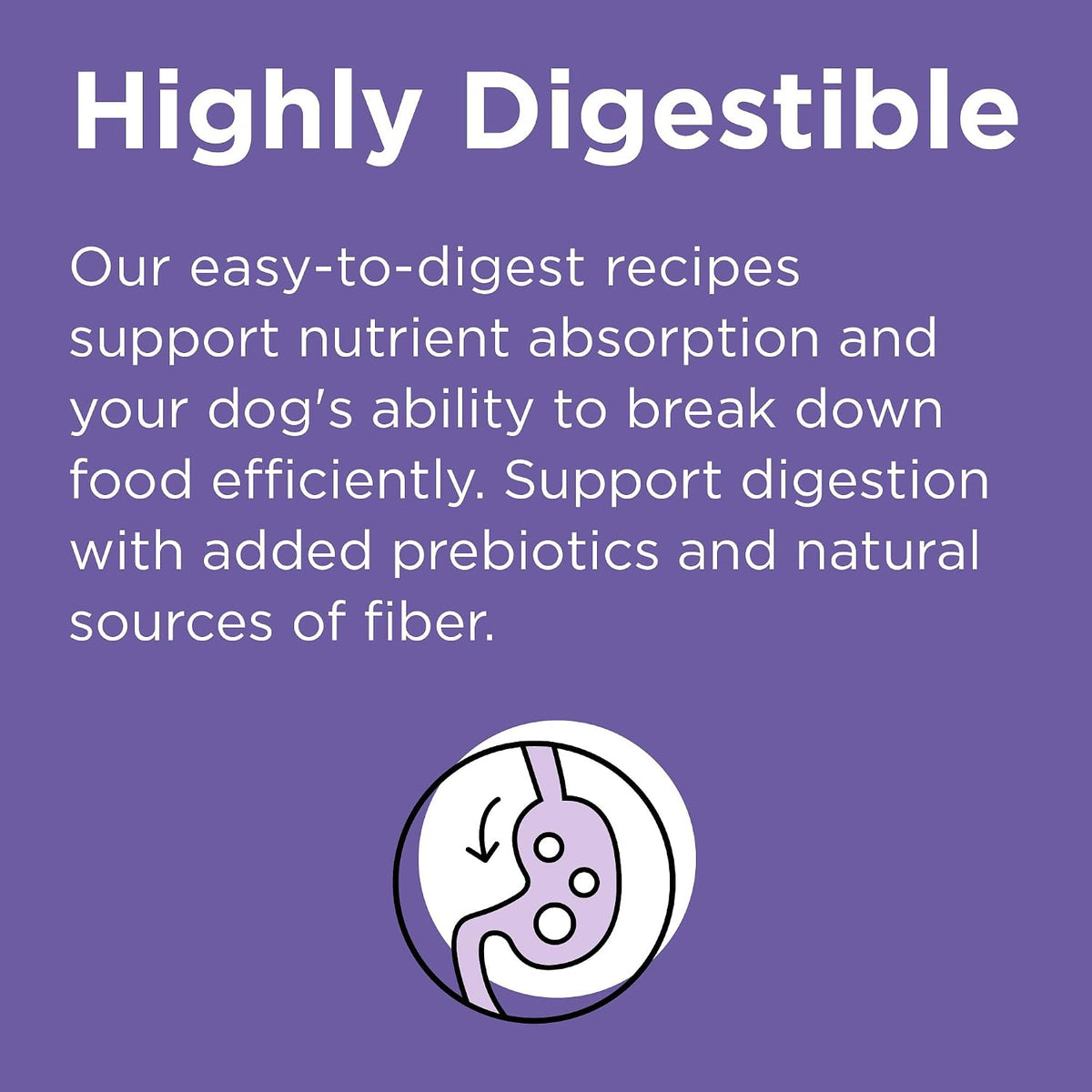 BIXBI Rawbble limited ingredient lamb recipe dog food for all life stages