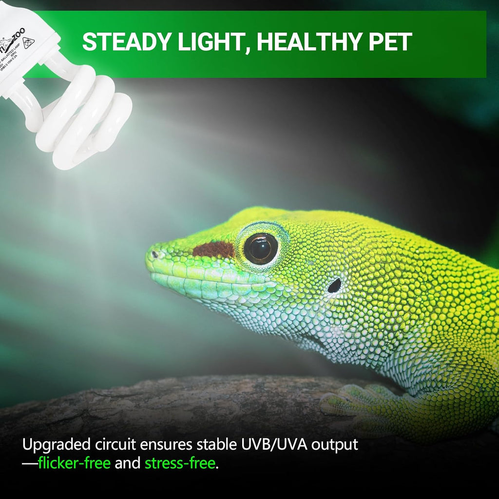 Crested gecko resting under the natural simulated canopy light of a tropical lamp.